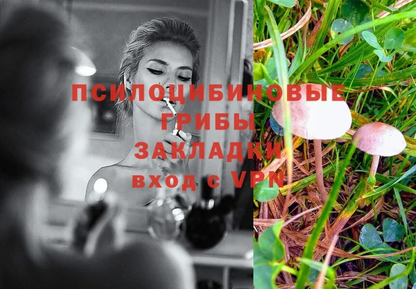трава Белоозёрский